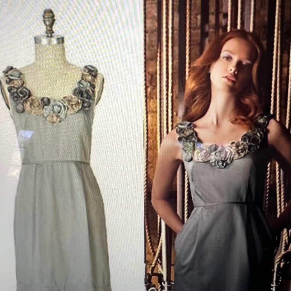 Anthropologie Baraschi Dress Size 4